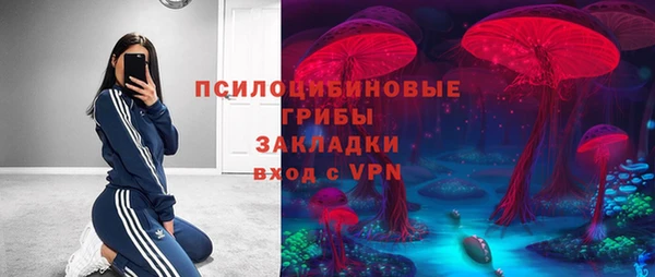 таблы Алзамай