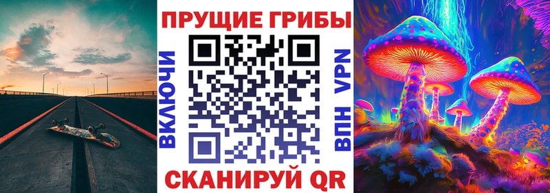 блэк спрут рабочий сайт  Заволжье  Псилоцибиновые грибы Cubensis 